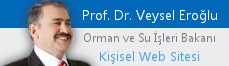 Prof. Dr. Veysel Eroğlu